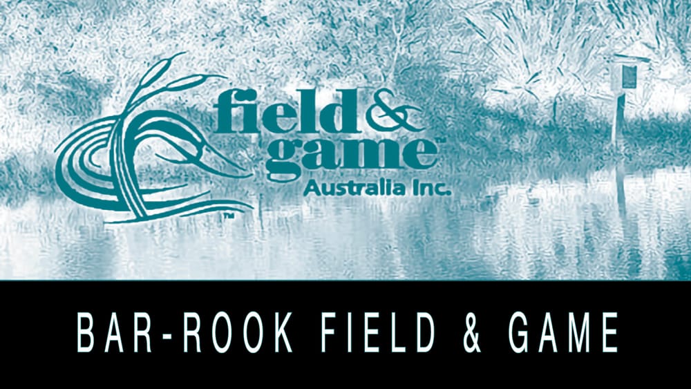 Bar-rook Field and Game - November 19, 2024 post image