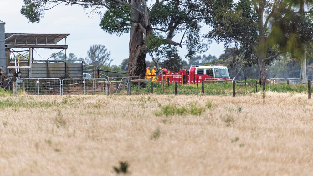 Grass Fire Halted post image