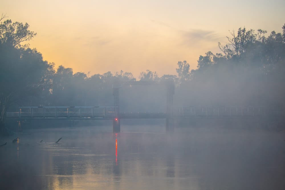 Thursday, June 25 post image