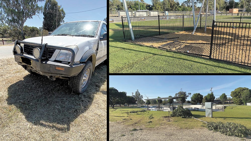 Community Anger at Needless Destruction post image