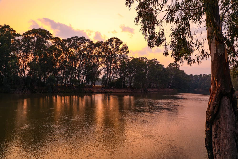 Monday, June 29 post image