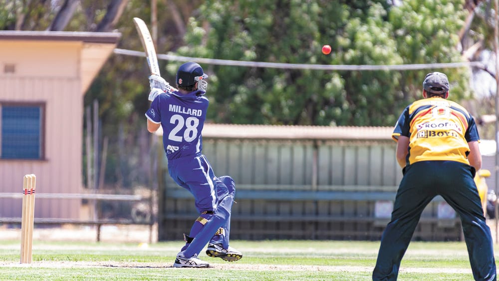 Murrabit Dominates T20 post image