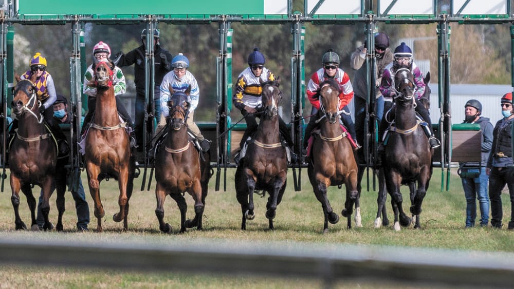 Ready for Spring Racing post image