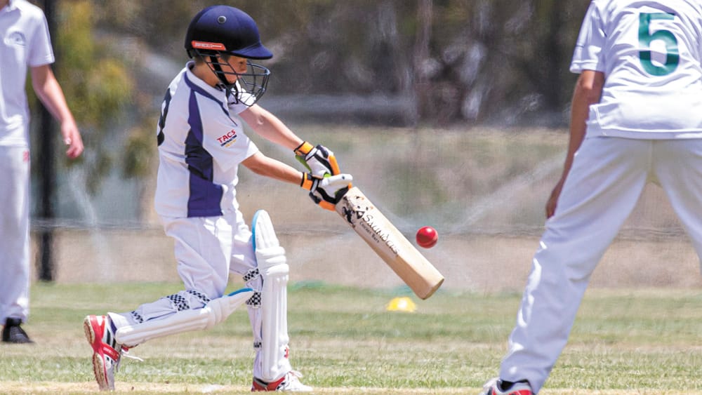 Swan Hill Defeats Northern District U13s Cricket post image