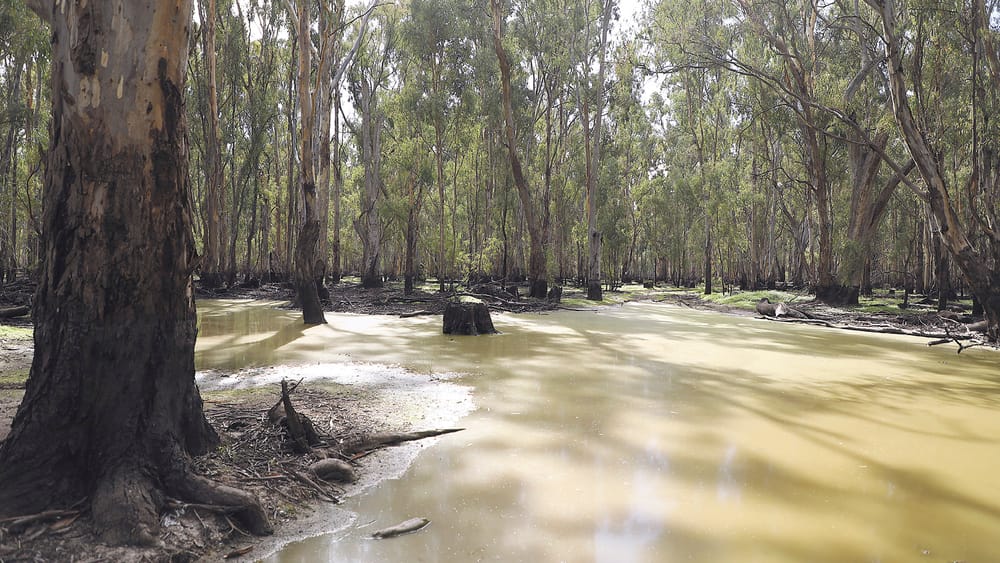 Just Add Water, Again post image