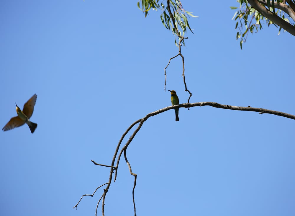 Thursday, July 9 post image