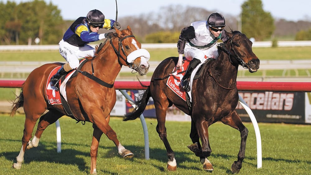 Another Win For Jye post image