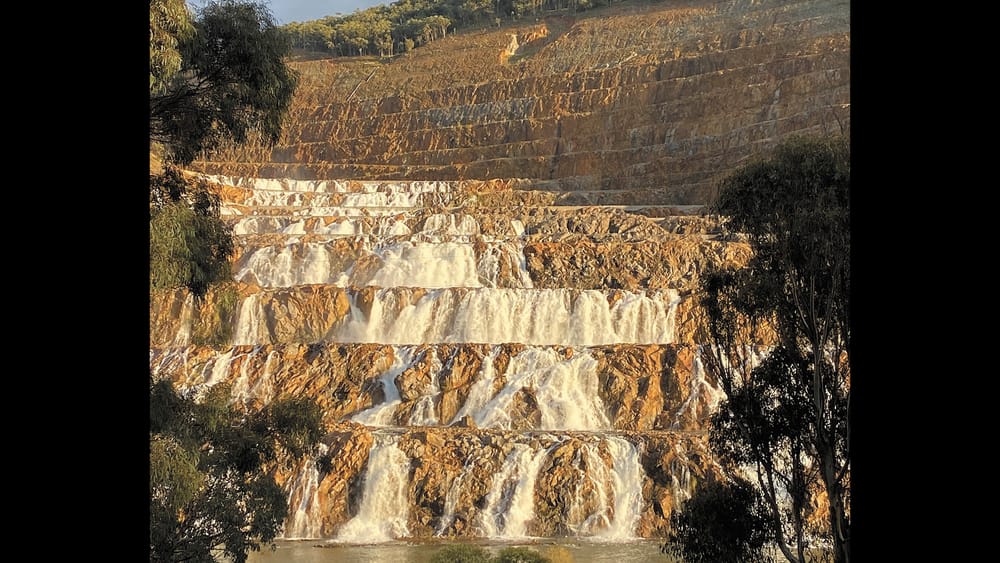 Bring Me Two of Every Animal post image