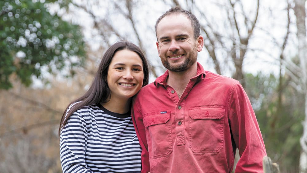 Big Paddock Farm post image