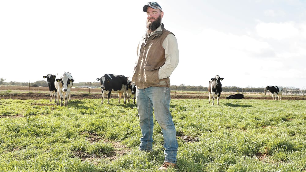 Nervous Wait on FMD post image