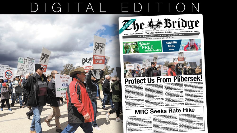 Thursday, November 16, 2023 post image