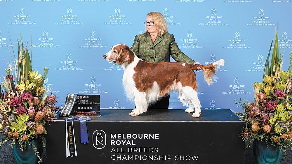 Royal Show Wrap-up post image