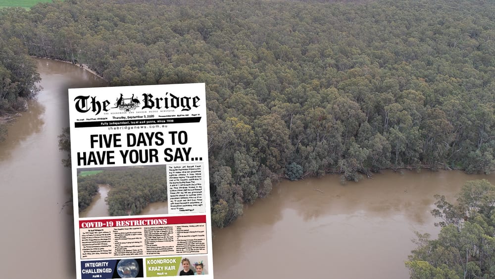 Thursday, September 3, 2020 post image