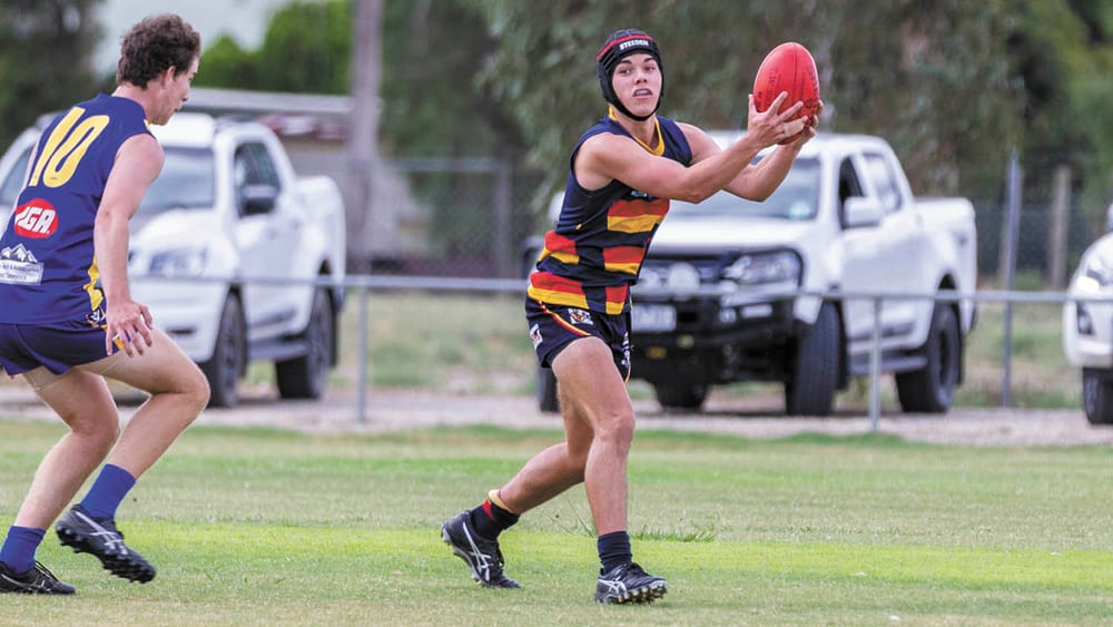 Locals Set for Pioneer Debut post image
