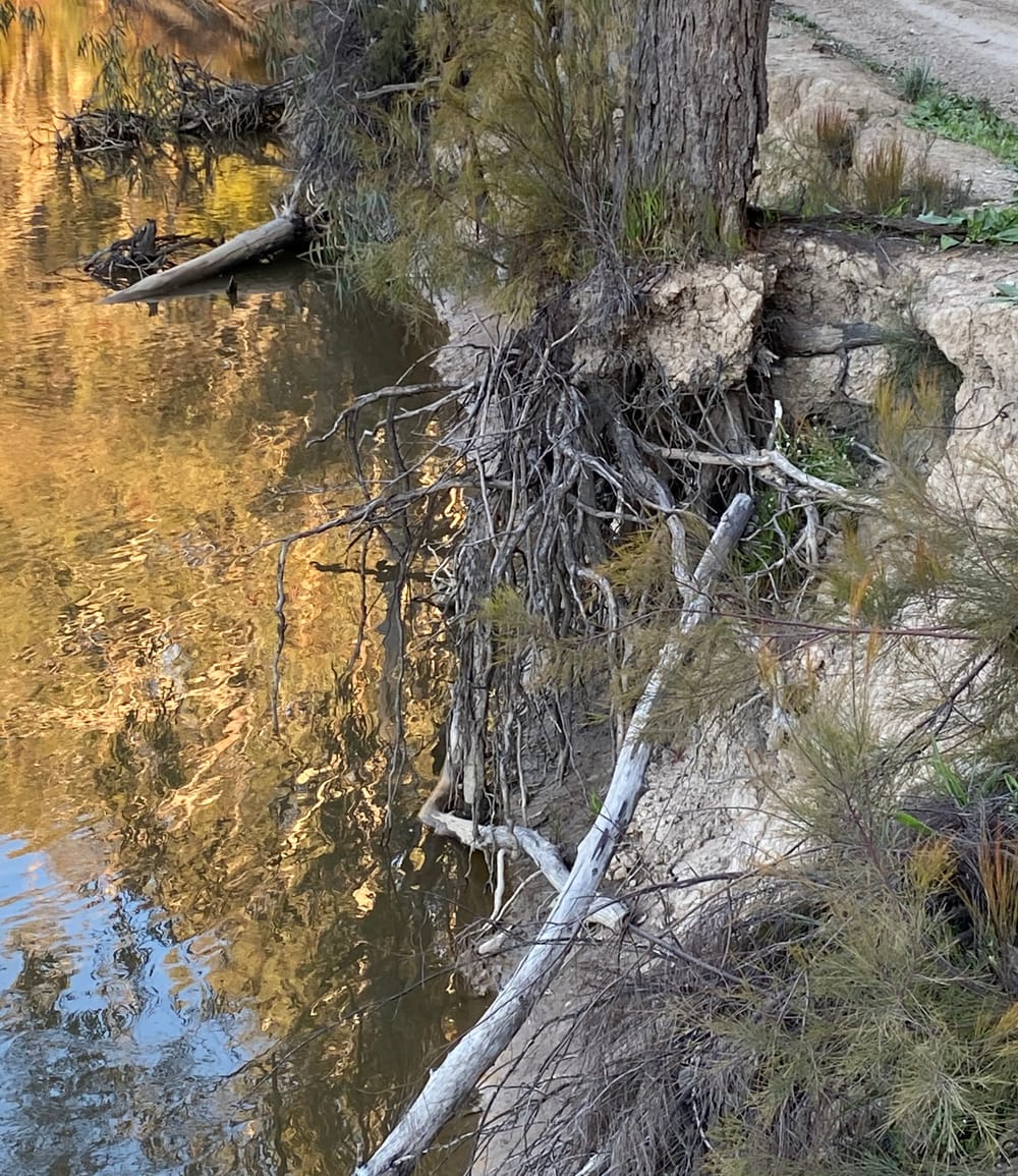 Monday, July 27 post image