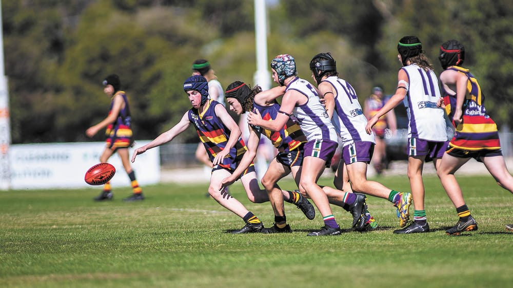 Raider Juniors Soar post image