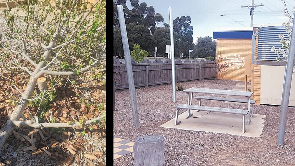 Vandalism Angers Leitchville Residents post image
