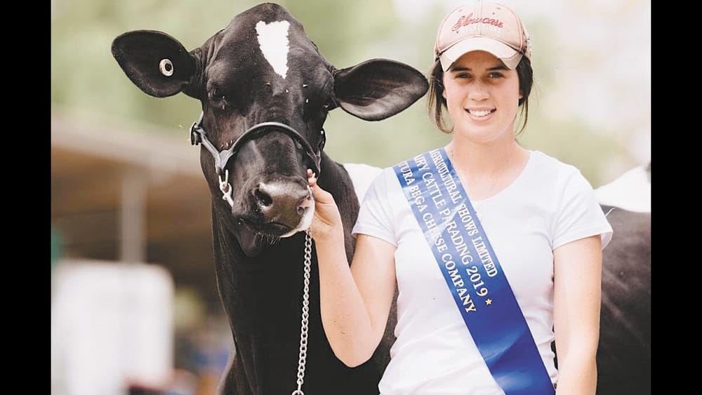 Sieben Dairy Parade Finalist post image