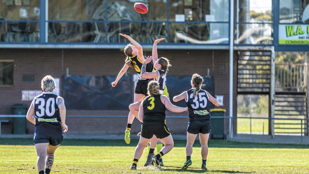 Blues Thump The Tigers post image