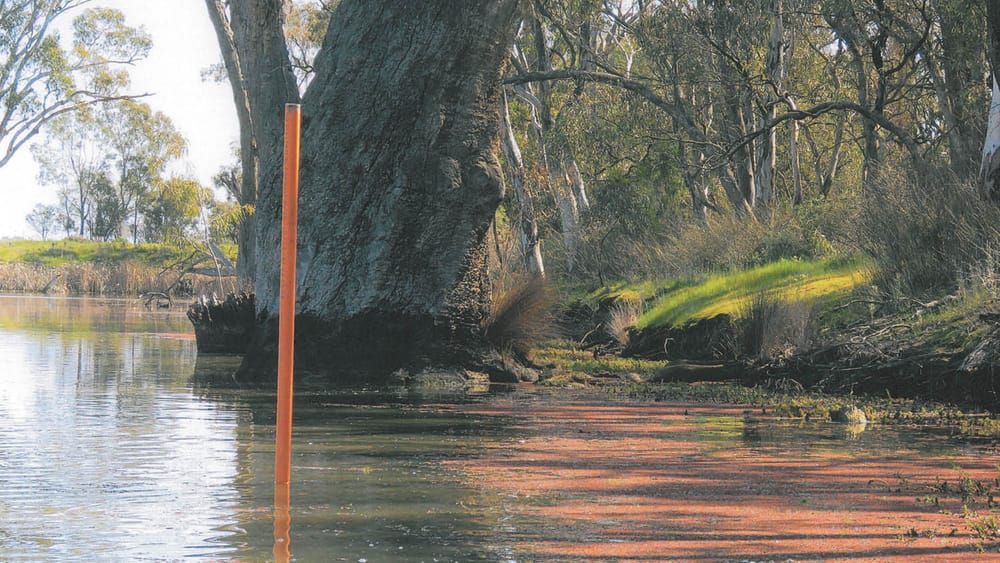 Remote Management, Local Risk post image