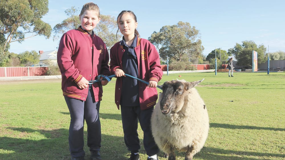 Pets Blessed at St Mary’s post image