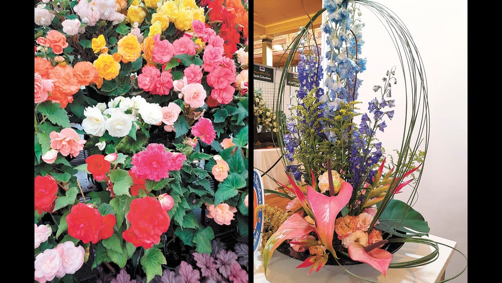 Garden Society - April 18, 2024 post image