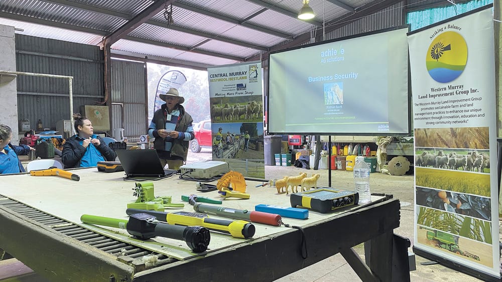 Sheepish to Adapt? post image