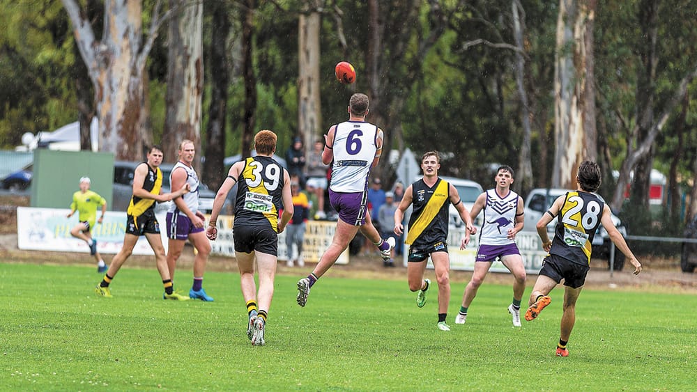 Kangas Found Wanting post image