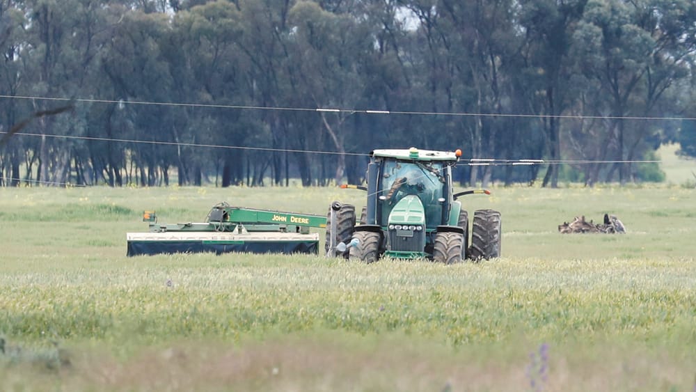 Oh Deere! post image