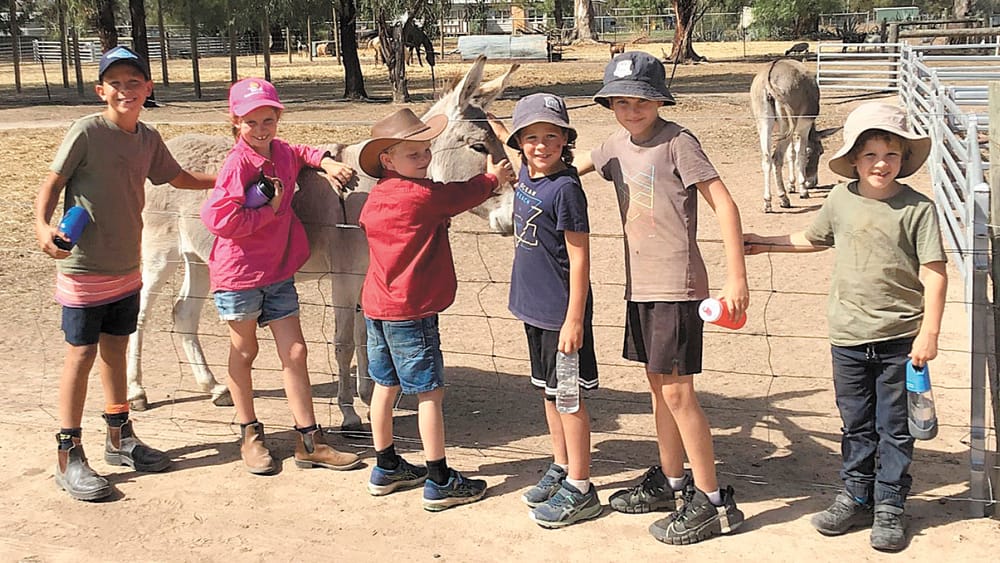 Term 1 at Wakool Burraboi Public School post image