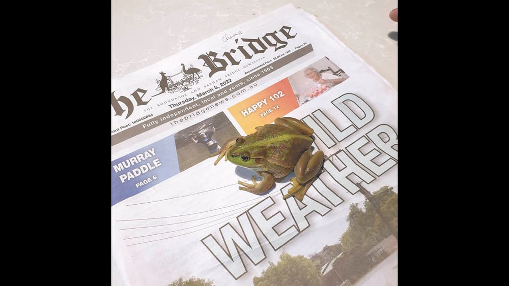 Moulamein Notebook- March 17, 2022 post image