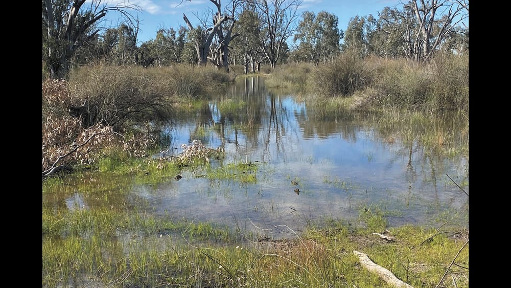 Flood Mapping Now Available post image