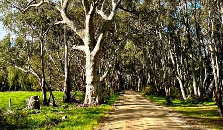 Saturday, June 27 post image