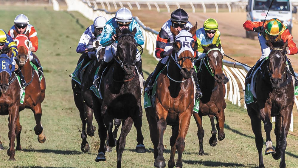 McNeil Races at Swan Hill post image