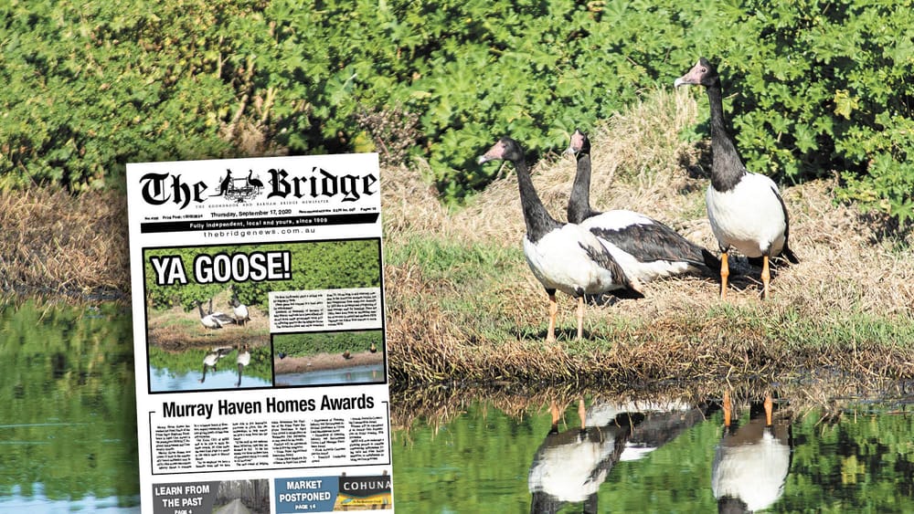 Thursday, September 17, 2020 post image