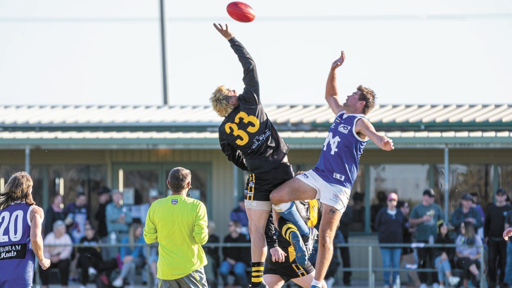 Murrabit wins in a nail-biter post image