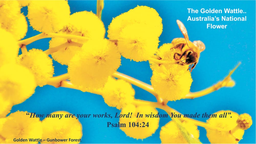 The Fabulous Green and Gold post image