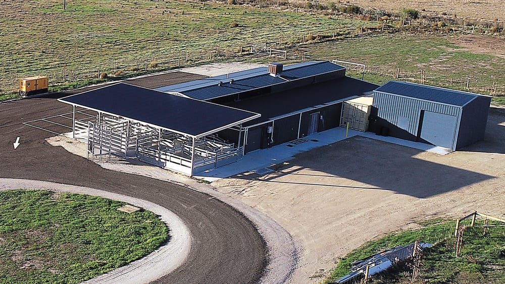 Micro Abattoir Edges Closer post image