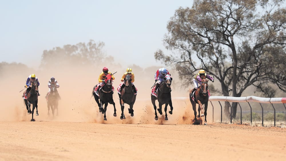 Moulamein Races Cancelled post image