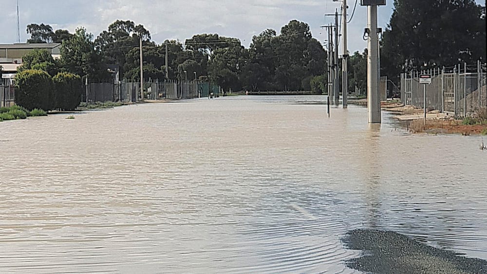 Hot and Dry or Wet and Steamy? post image