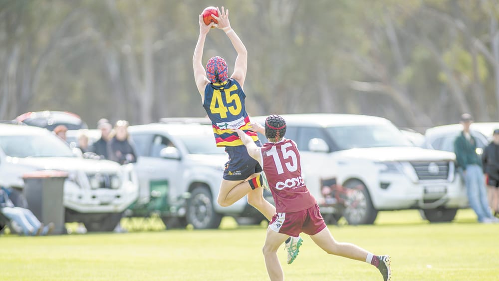 Swans Dash Raiders’ Hopes post image