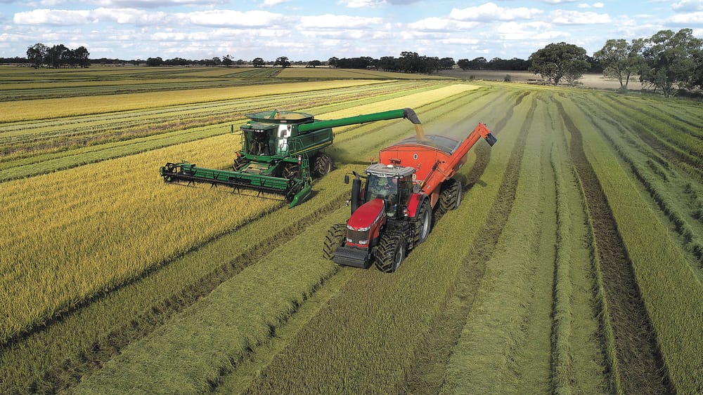 Harvest Begins post image