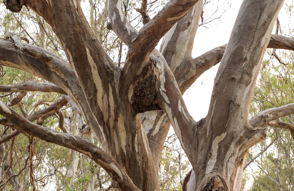 Tuesday, June 30 post image