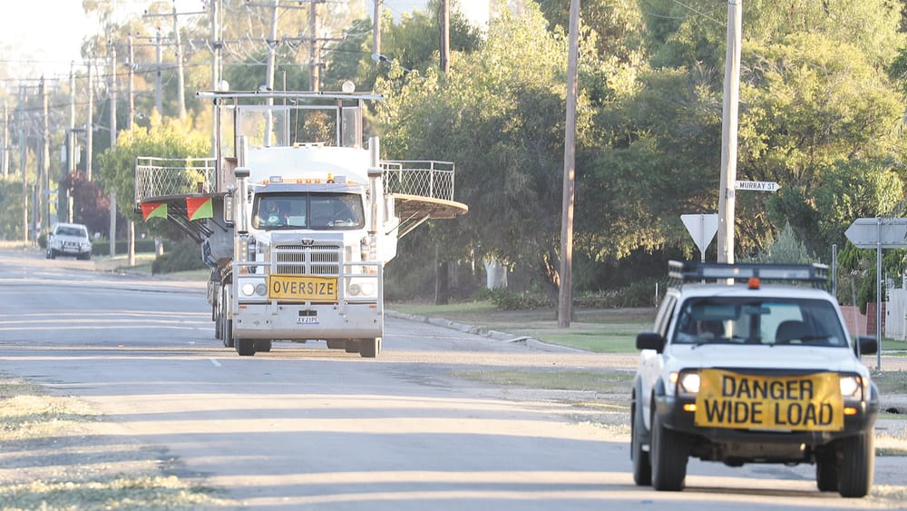 Homeward Bound post image