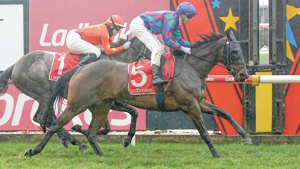 Jye McNeil Returns post image