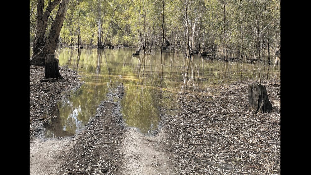 What Has Gone Wrong with Water Management? post image