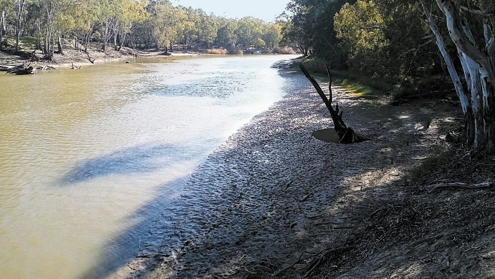 Free Flowing Rivers Needed for Winter post image