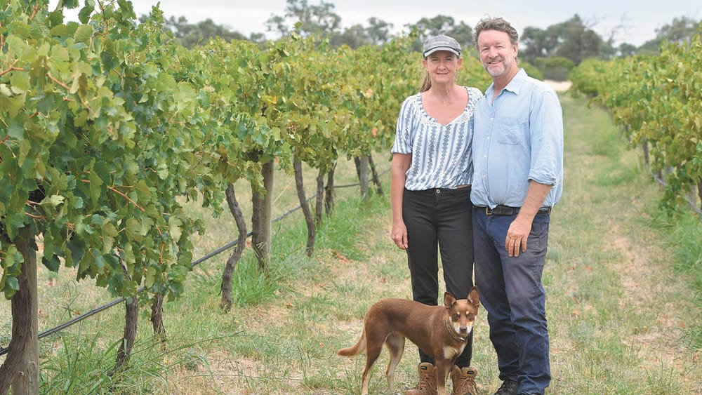 Restdown’s Sustainable Tourism Recognised post image