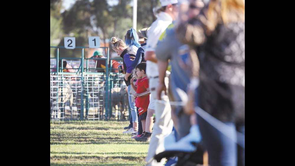 Flock to Wakool this Saturday post image