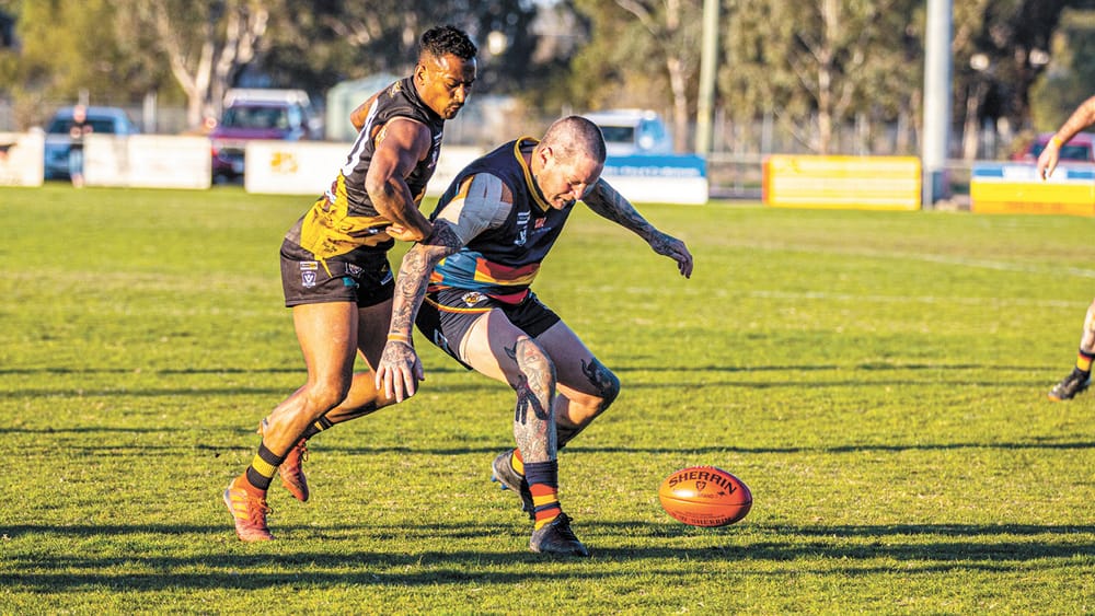 Junior Footy gets Green Light post image